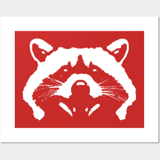 A raccoon Posters and Art